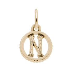 10k Yellow Gold Initial N Small Open Disc Flat Charm 1