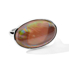 IPPOLITA Polished Rock Candy Sculptured Large Oval Ring in Brown Shell - Size 7 1