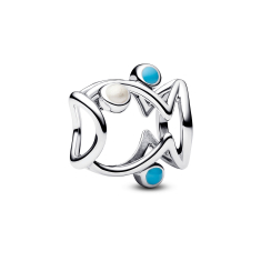 Pandora Openwork Fish Charm 1