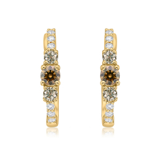 Desert Diamonds 1/2ctw 10k Yellow Gold Hoop Earrings 1