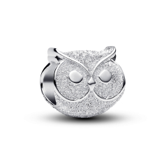 Pandora Textured Owl Mini Charm 1