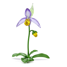 Swarovski Crystal Florere Lady Slipper Orchid 1
