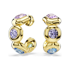 Swarovski Gemma Multicolored Crystal Hoop Earrings, Gold-Tone Plated 1